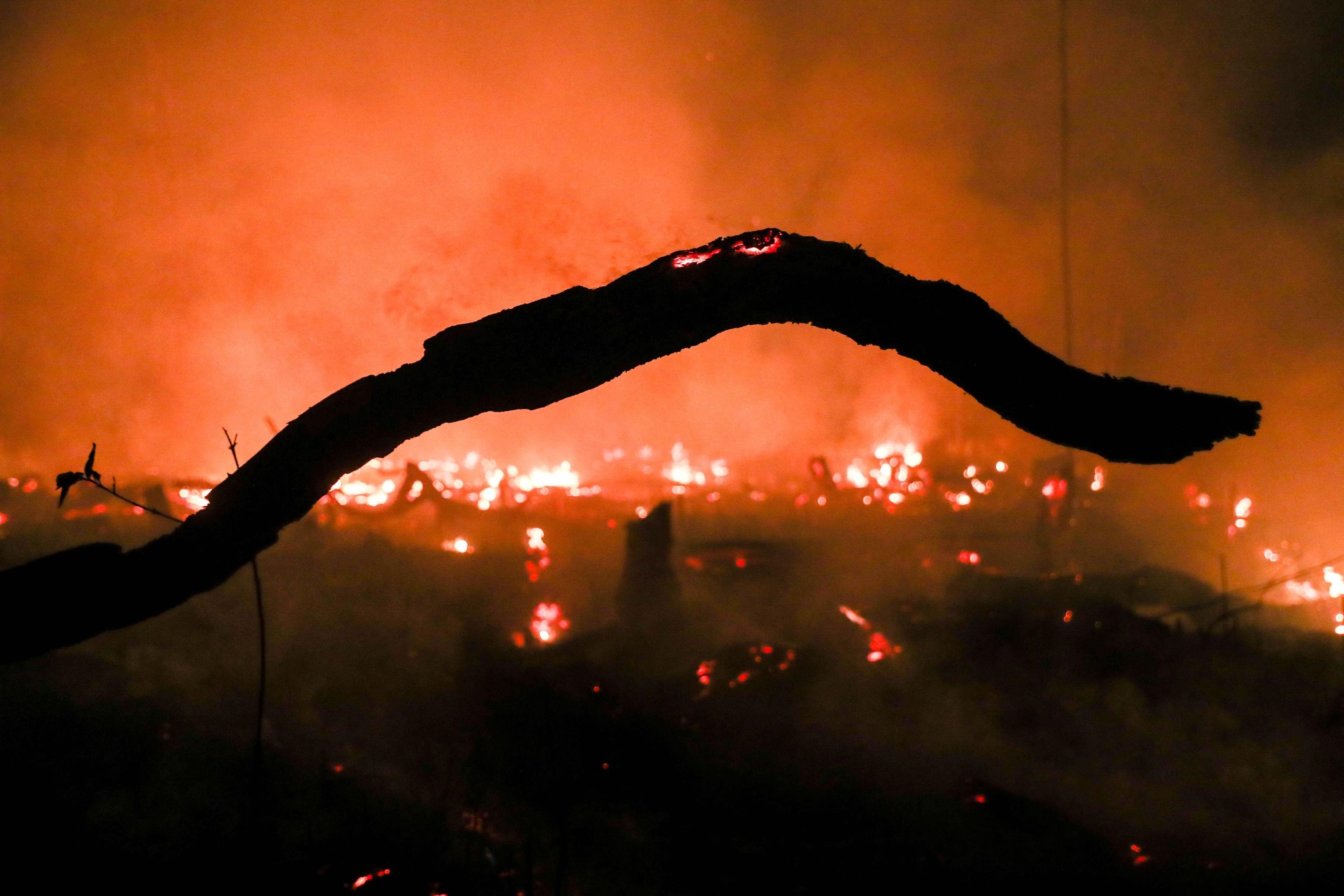 Un dettaglio degli incendi che hanno distrutto 1.698 chilometri quadrati dell'Amazzonia