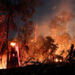 L' Amazzonia, a causa degli incendi dello scorso agosto ha perso un'area del 222% superiore a quella disboscata nello stesso mese del 2018 (526 quadrati chilometri), secondo i dati diffusi dal National Space Research Institute (INPE) del Brasile