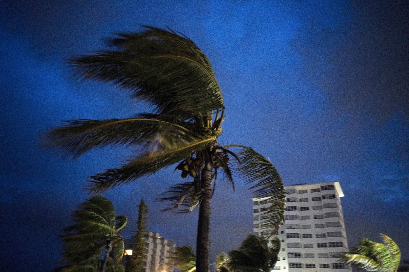 Forti venti muovono le palme all'arrivo dell'uragano Dorian a Freeport, Grand Bahama