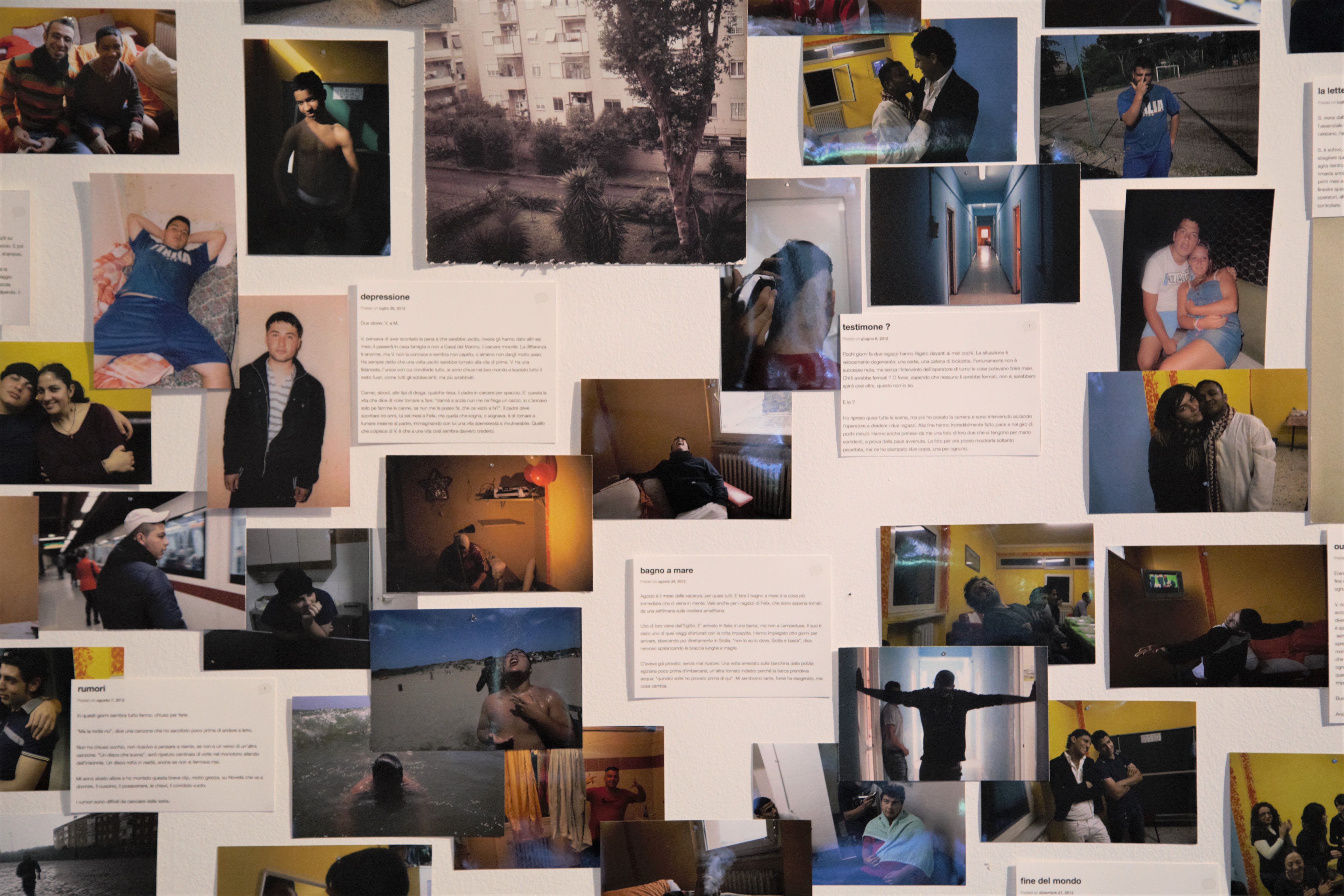 I post e le fotografie del blog del Diario di Felix