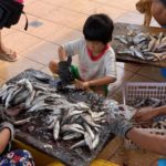 A causa dell'inquinamento idrico le Filippine stanno affrontando una grave crisi del settore della pesca.