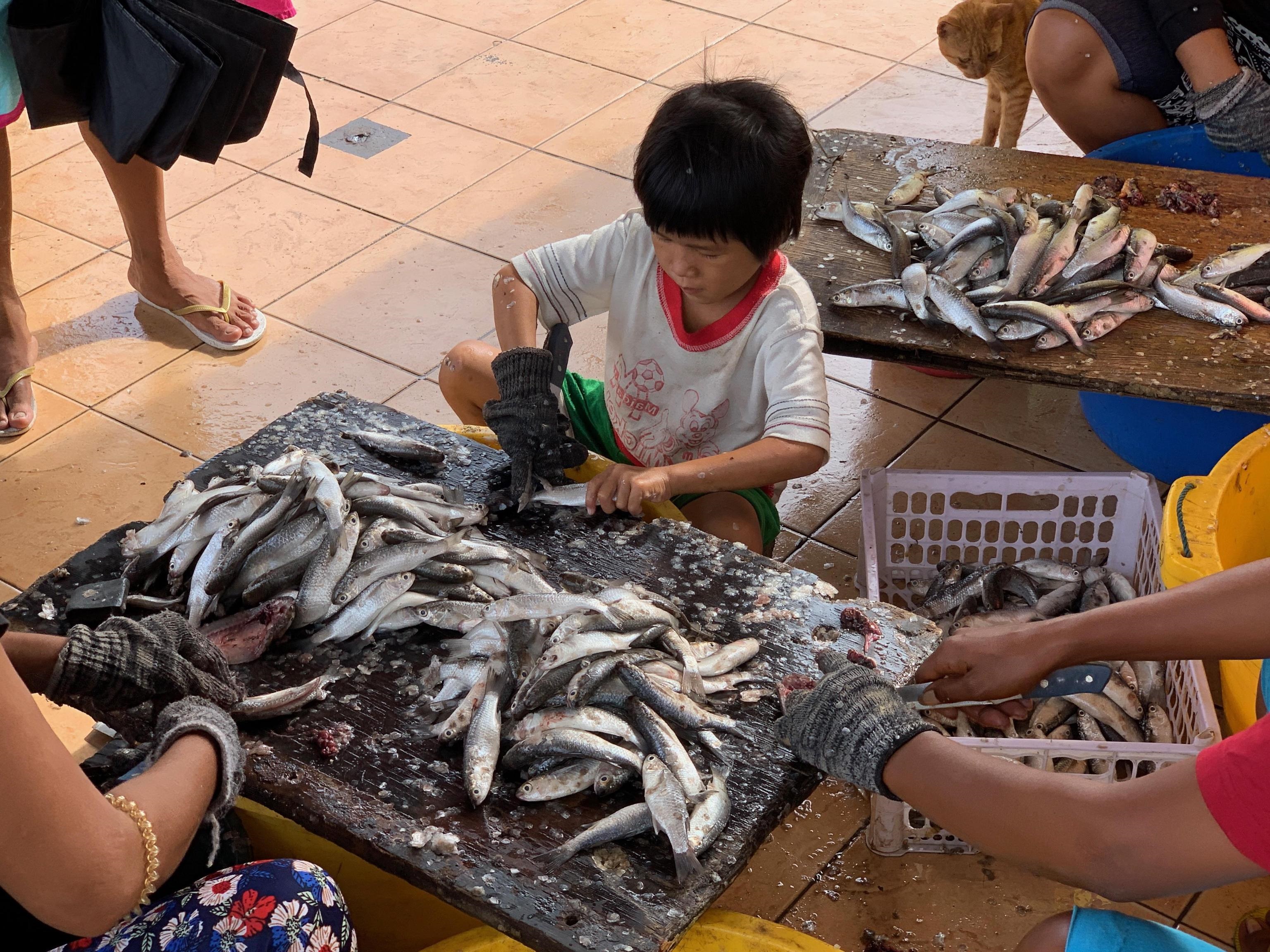 A causa dell'inquinamento idrico le Filippine stanno affrontando una grave crisi del settore della pesca.