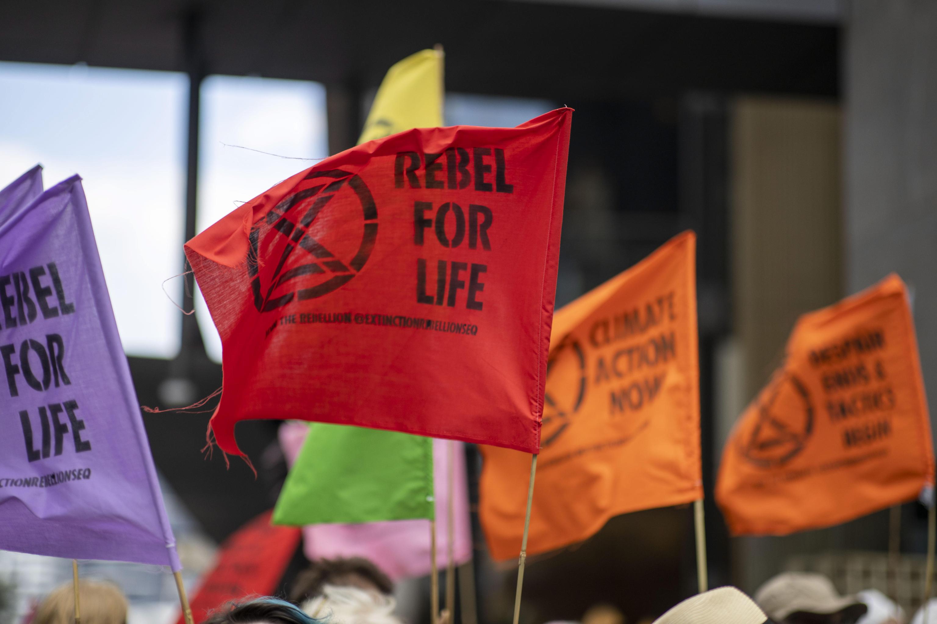 Bandiere in alto durante una manifestazione a Brisbane Bandiere in alto durante una manifestazione a Brisbane