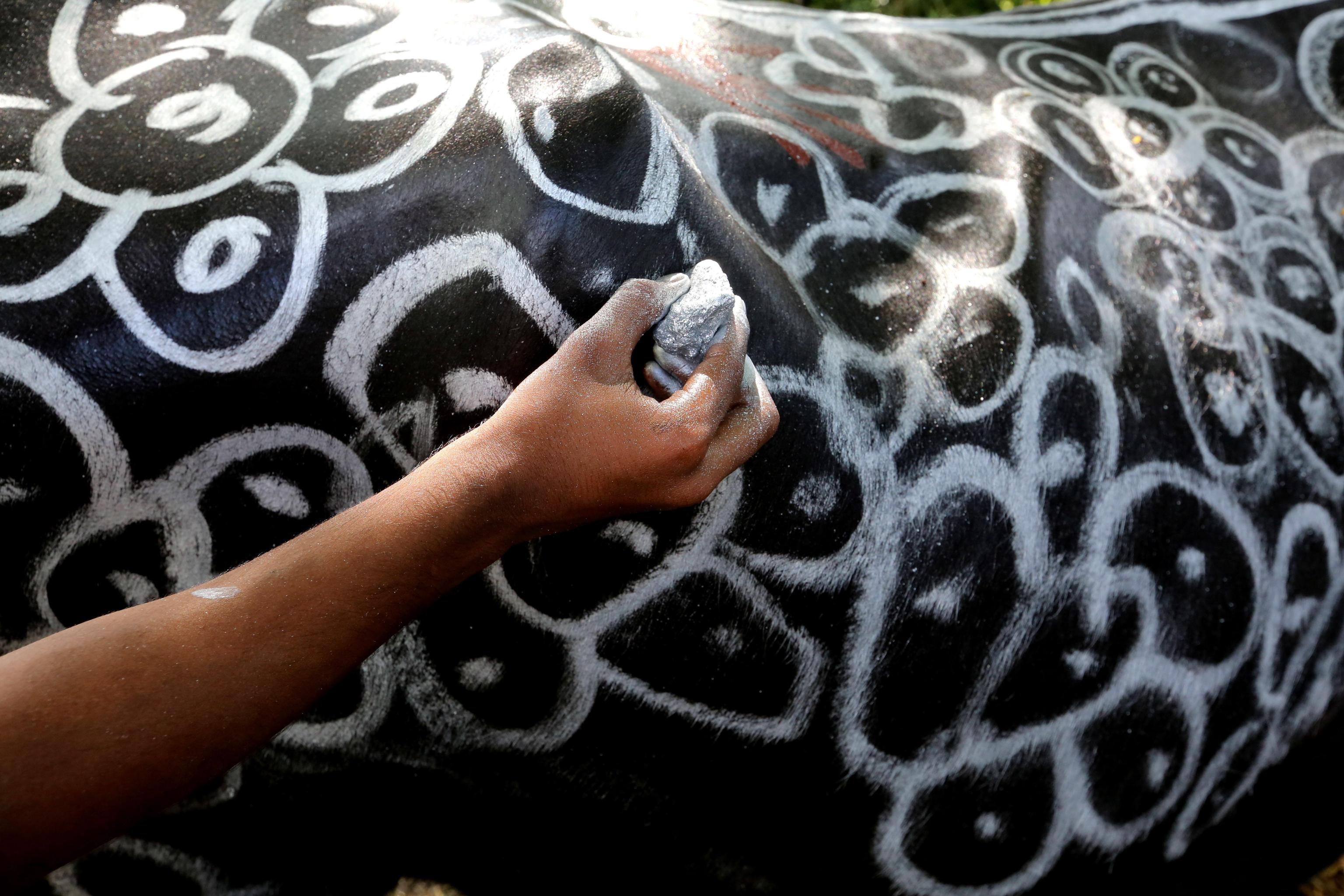 Un bufalo decorato in occasione del Diwali, a Bhopal in India