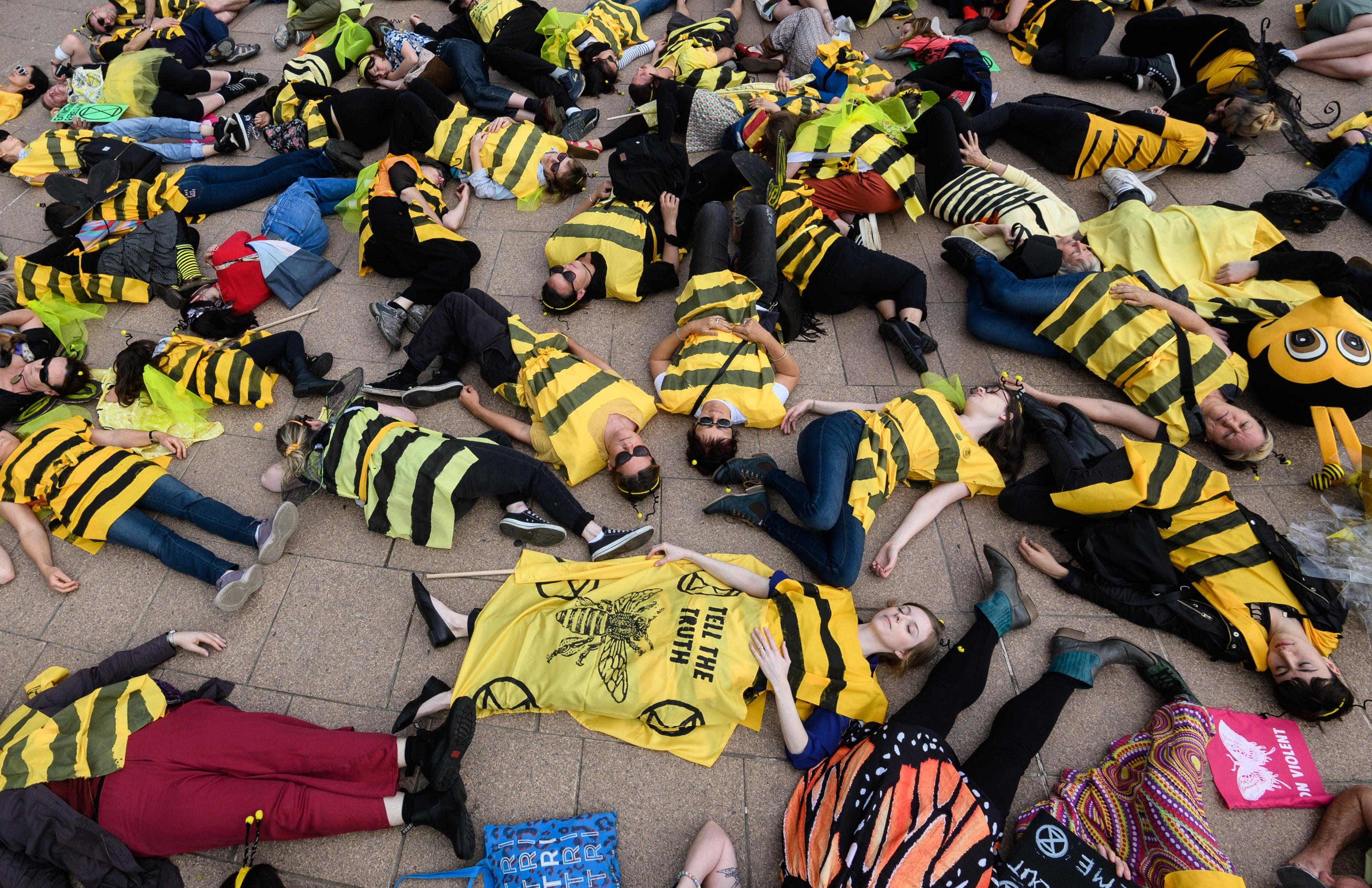 Numerosi manifestanti travestiti da api Numerosi manifestanti travestiti da api