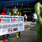 "Lasciate che gli animali mostrino i loro veri colori"