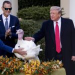 Il Presidente degli Stati Uniti Donald Trump alla presentazione dei tacchini alla Casa Bianca Il Presidente degli Stati Uniti Donald Trump alla presentazione dei tacchini alla Casa Bianca