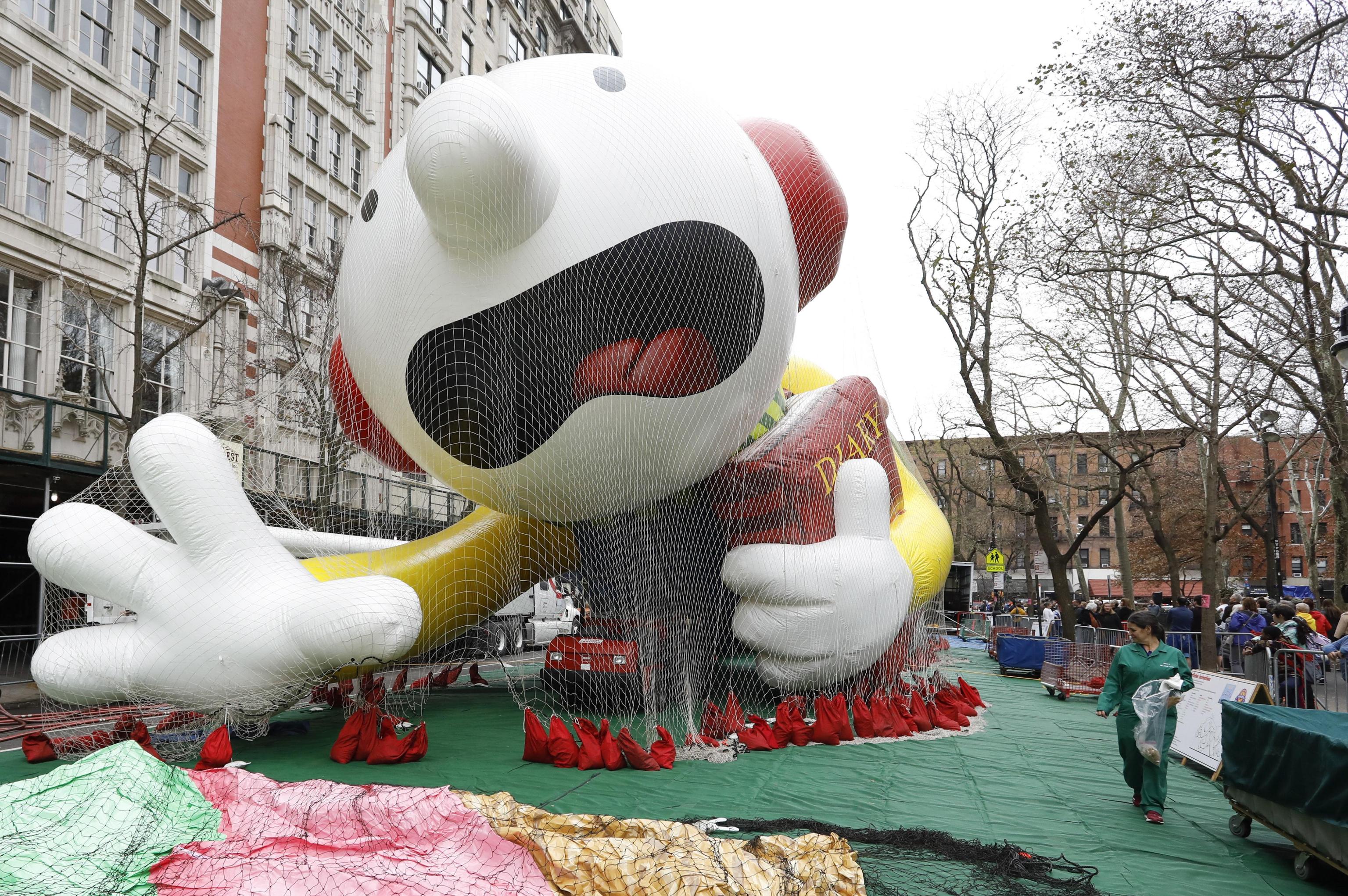 Tra i personaggi questo anno c'è anche il protagonista de "Il diario di una schiappa" Tra i personaggi questo anno c'è anche il protagonista de "Il diario di una schiappa"