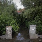 L'inquinamento ambientale non permette più loro di pescare