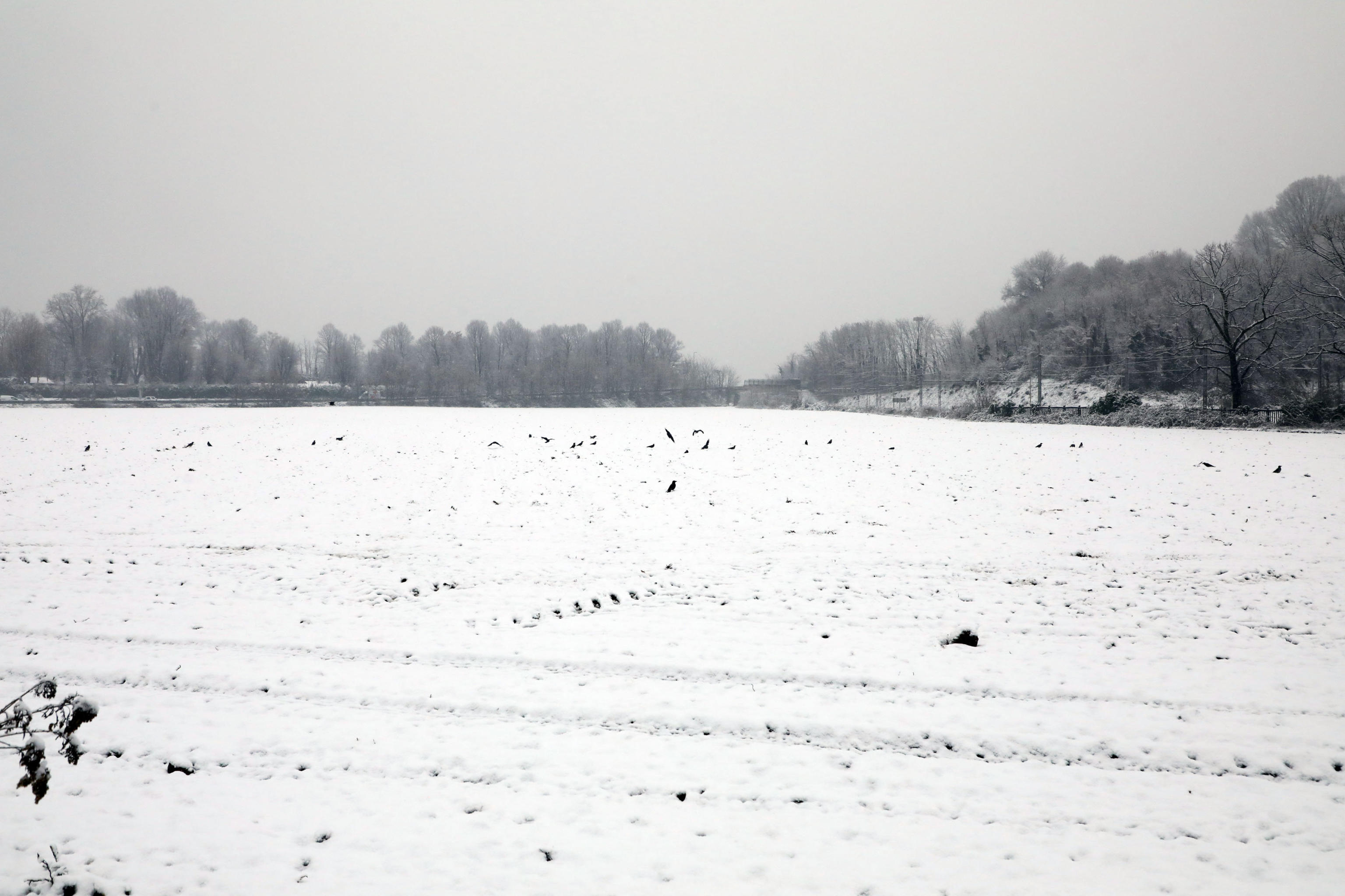Un campo innevato alle porte di Como