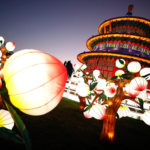 Il Festival si tiene a Santiago del Cile e illumina la città con spettacolari effetti. Precisamente, è ospitato al Fluvial Family Park nel comune di Quinta Normal. Il Festival si tiene a Santiago del Cile e illumina la città con spettacolari effetti. Precisamente, è ospitato al Fluvial Family Park nel comune di Quinta Normal.