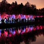 Il festival è spesso associato alla città in cui è nato, Zigong, nella provincia del Sichuan. La tradizione risale a più di 1800 anni fa. Il festival è spesso associato alla città in cui è nato, Zigong, nella provincia del Sichuan. La tradizione risale a più di 1800 anni fa.