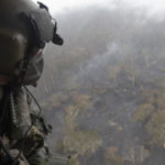 Le tracce dei danni delle fiamme alle foreste vista dall'alto
