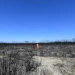 Un militare del convoglio di soccorso al centro della devastazione nell'Isola dei Canguri