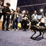 La dimostrazione ai curiosi delle capacità del robot A1