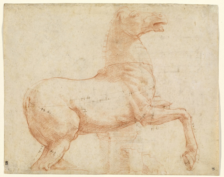 Un cavallo di marmo sulla collina del Quirinale, gesso rosso e penna e inchiostro bruno, 1513