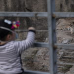 Alle persone che entrano nel parco sarà richiesto anche di mostrare i certificati sanitari. Ai febbricitanti verrà negato l'ingresso Alle persone che entrano nel parco sarà richiesto anche di mostrare i certificati sanitari. Ai febbricitanti verrà negato l'ingresso