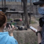 I veterinari hanno monitorato costantemente la salute degli animali, che hanno ricevuto la massima attenzione durante la stagione invernale I veterinari hanno monitorato costantemente la salute degli animali, che hanno ricevuto la massima attenzione durante la stagione invernale