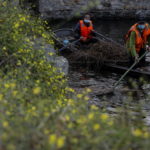 Gli animali sono stati nutriti bene e sono confinati in aree sanificate. Le misure sono state più stringenti del solito Gli animali sono stati nutriti bene e sono confinati in aree sanificate. Le misure sono state più stringenti del solito
