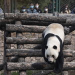 Molte persone hanno espresso preoccupazione per le scorte di cibo per gli animali e avviato una campagna per acquistare verdure fresche, frutta e carne Molte persone hanno espresso preoccupazione per le scorte di cibo per gli animali e avviato una campagna per acquistare verdure fresche, frutta e carne