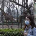 La Cina ha abbassato il livello di allerta sanitaria, aprendo gradualmente tutte le attività rimaste chiuse per contenere il contagio del Covid-19 La Cina ha abbassato il livello di allerta sanitaria, aprendo gradualmente tutte le attività rimaste chiuse per contenere il contagio del Covid-19