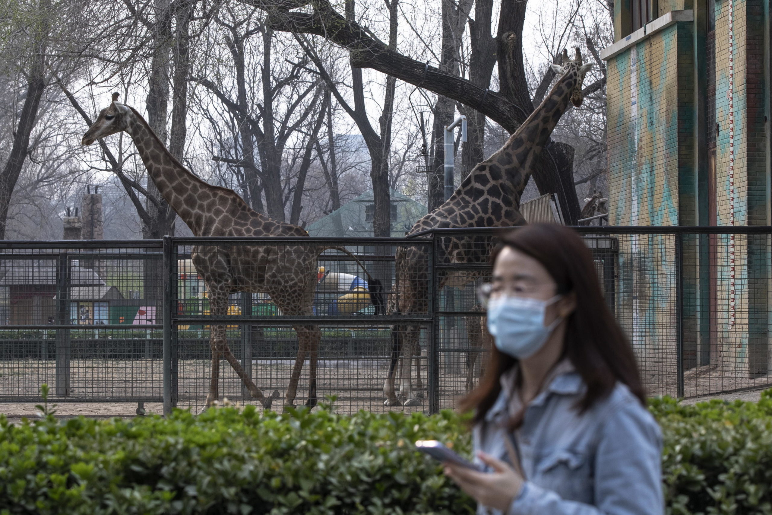 La Cina ha abbassato il livello di allerta sanitaria, aprendo gradualmente tutte le attività rimaste chiuse per contenere il contagio del Covid-19