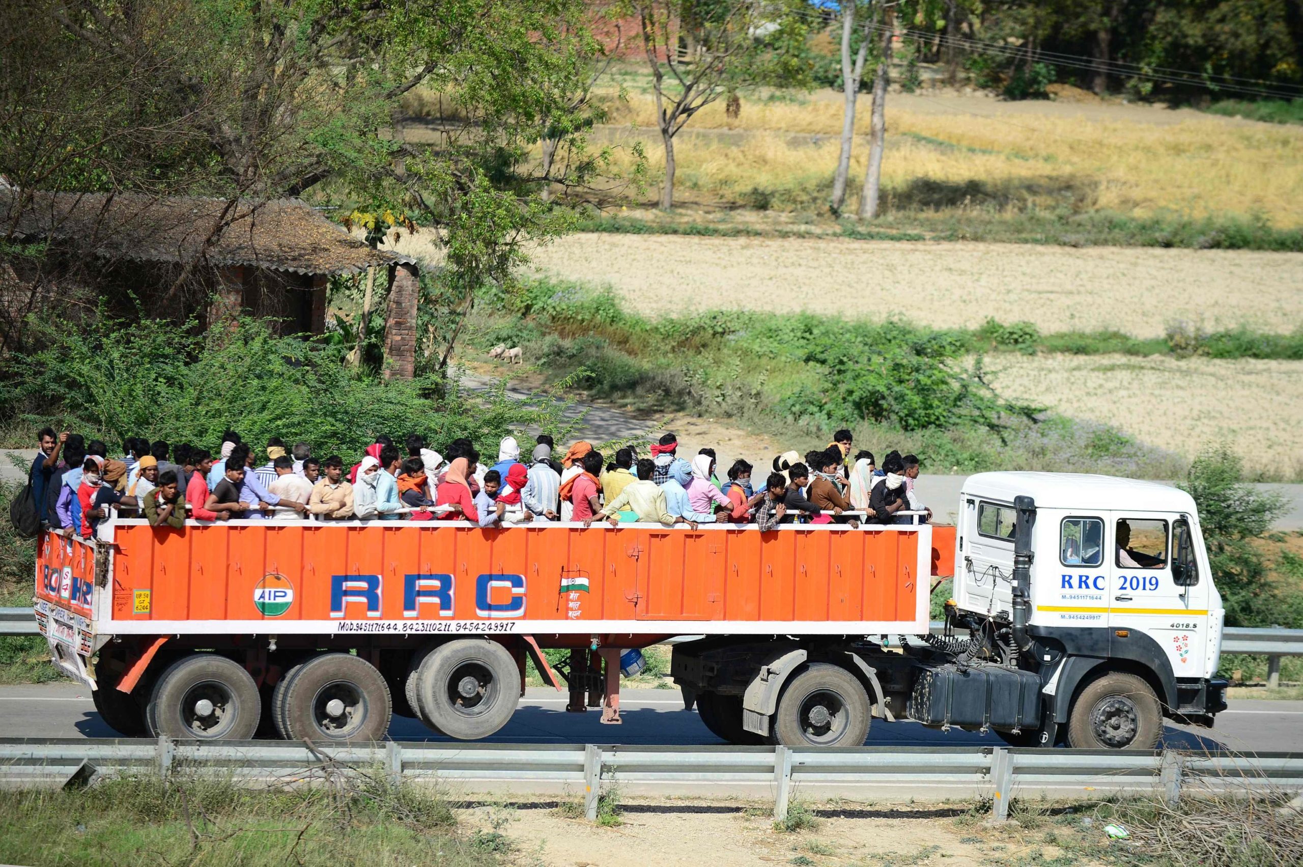 C'è chi è riuscito a salire su un camion per scappare dal lockdown imposto dal governo C'è chi è riuscito a salire su un camion per scappare dal lockdown imposto dal governo