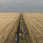 Il lungo cammino dei rifugiati siriani in Turchia, che si dirigono verso il confine con la Grecia