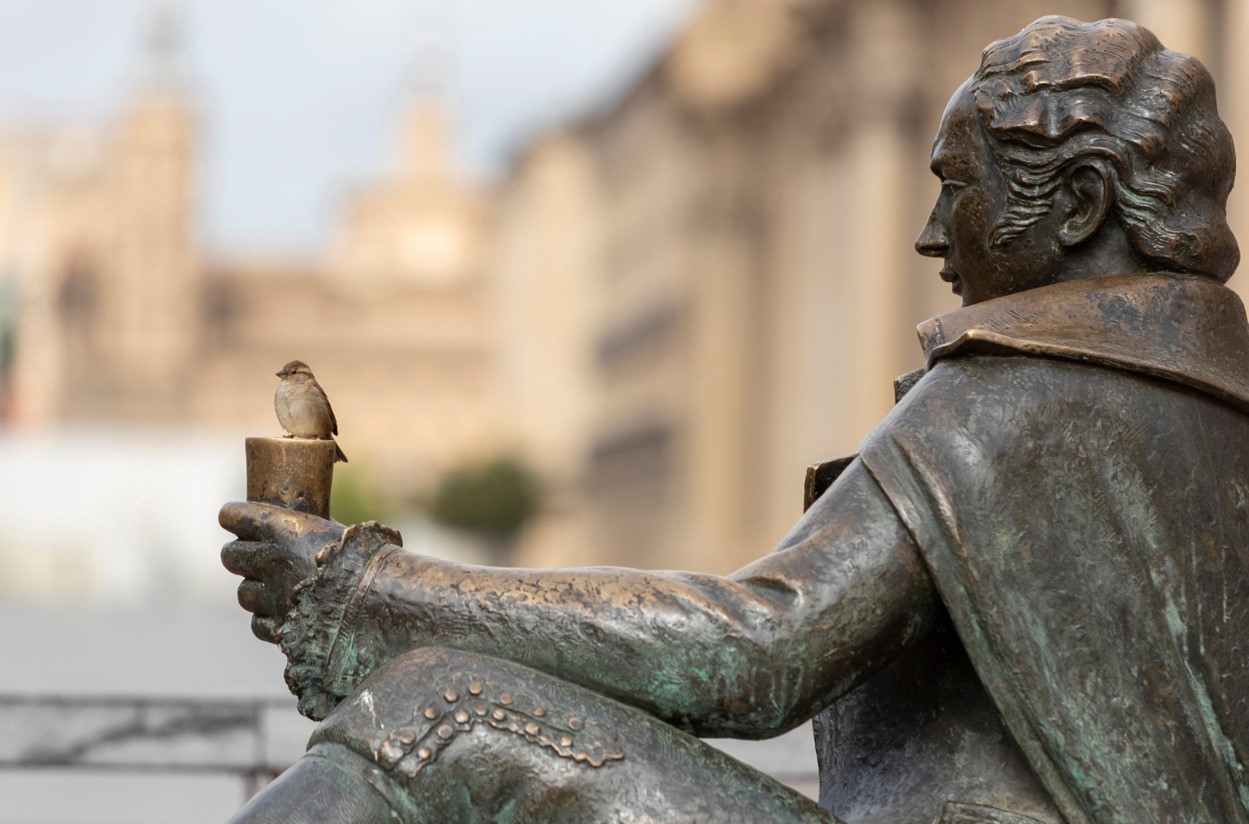 Un passero è appollaiato su una statua raffigurante il pittore spagnolo Francisco de Goya in Piazza Pilar a Saragozza, Spagna