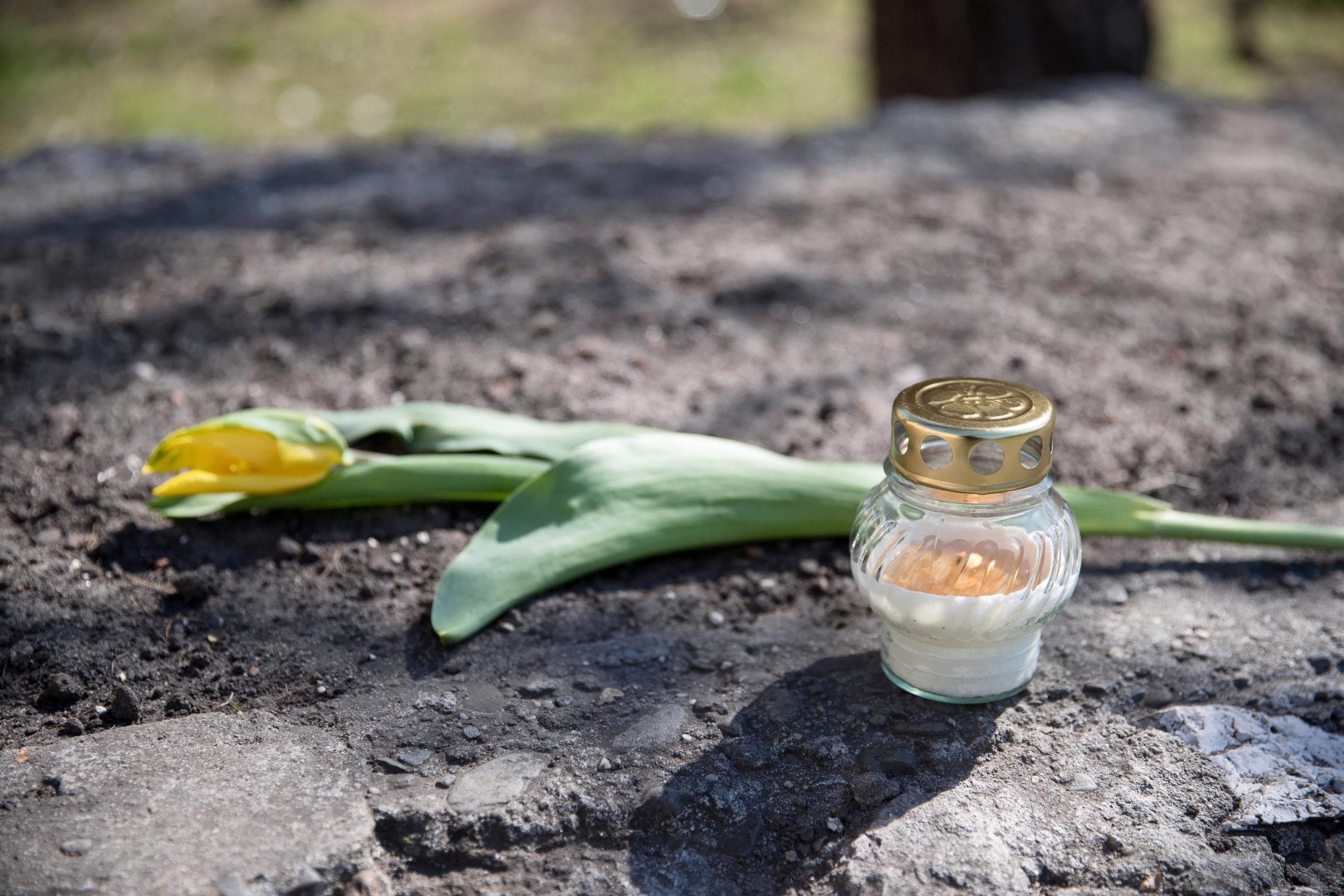Il quindicesimo anniversario dalla morte di Papa Giovanni Paolo II in Polonia