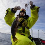 La ricercatrice Dayana Canon cattura un esemplare di Nothotenia coriiceps per studiare la relazione con l'inquinamento