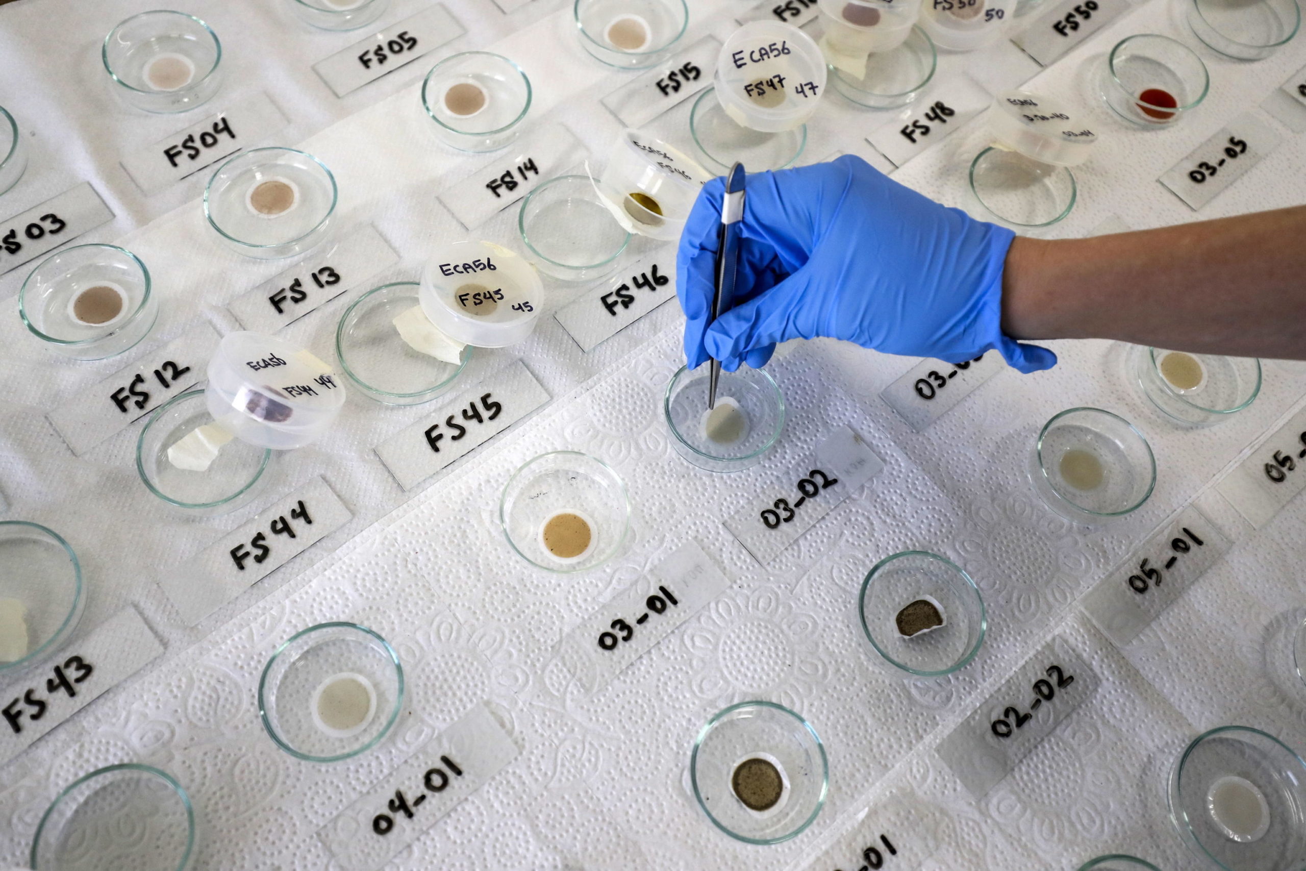 Uno scienziato tratta e analizza campioni di neve provenienti da diverse zone dell'Antartide