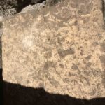 Il tempio, dedicato a tutti gli dei, fu fatto costruire da Agrippa tra il 27 e il 25 a. C.