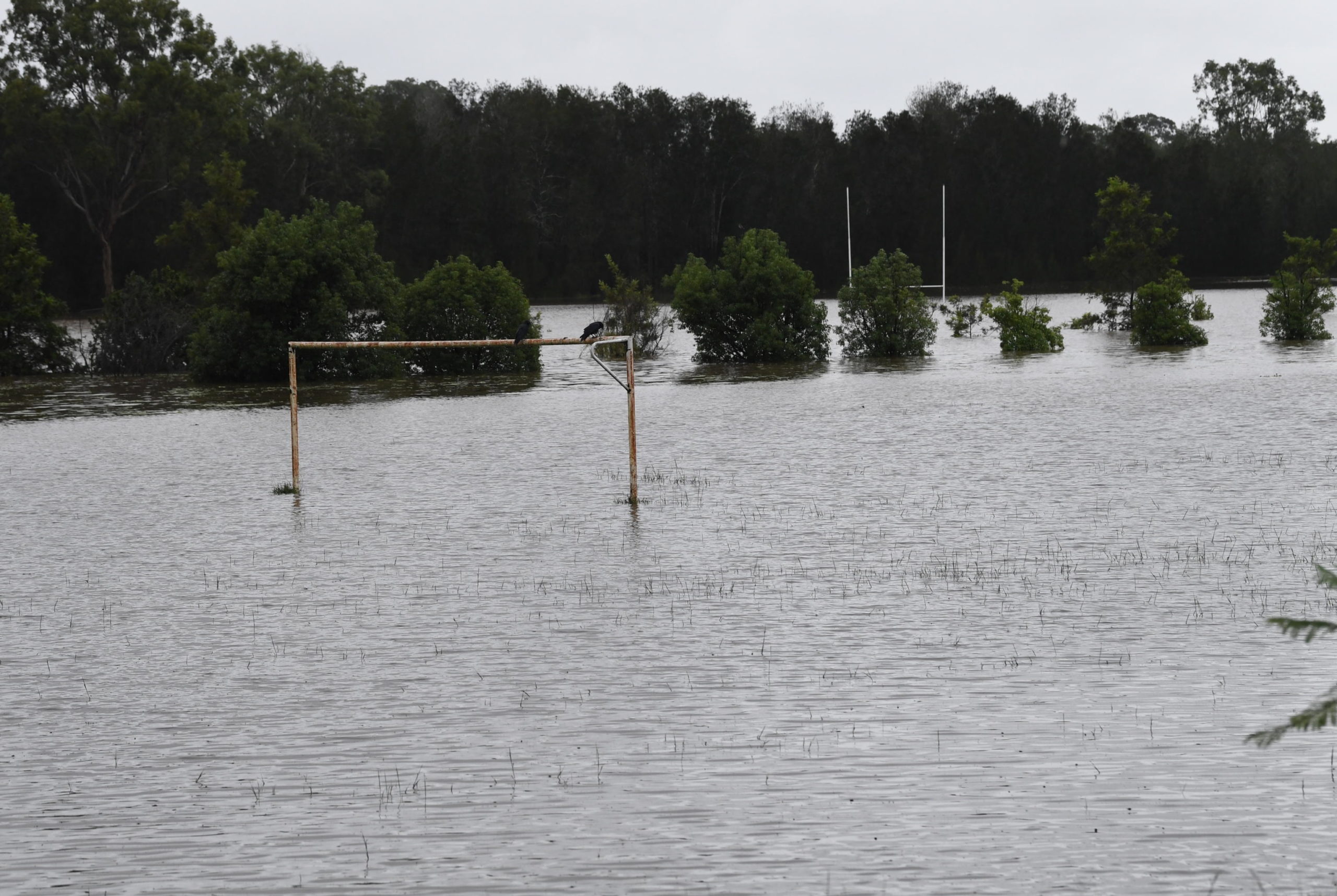 Strade sommerse dall'alluvione a Brisbane