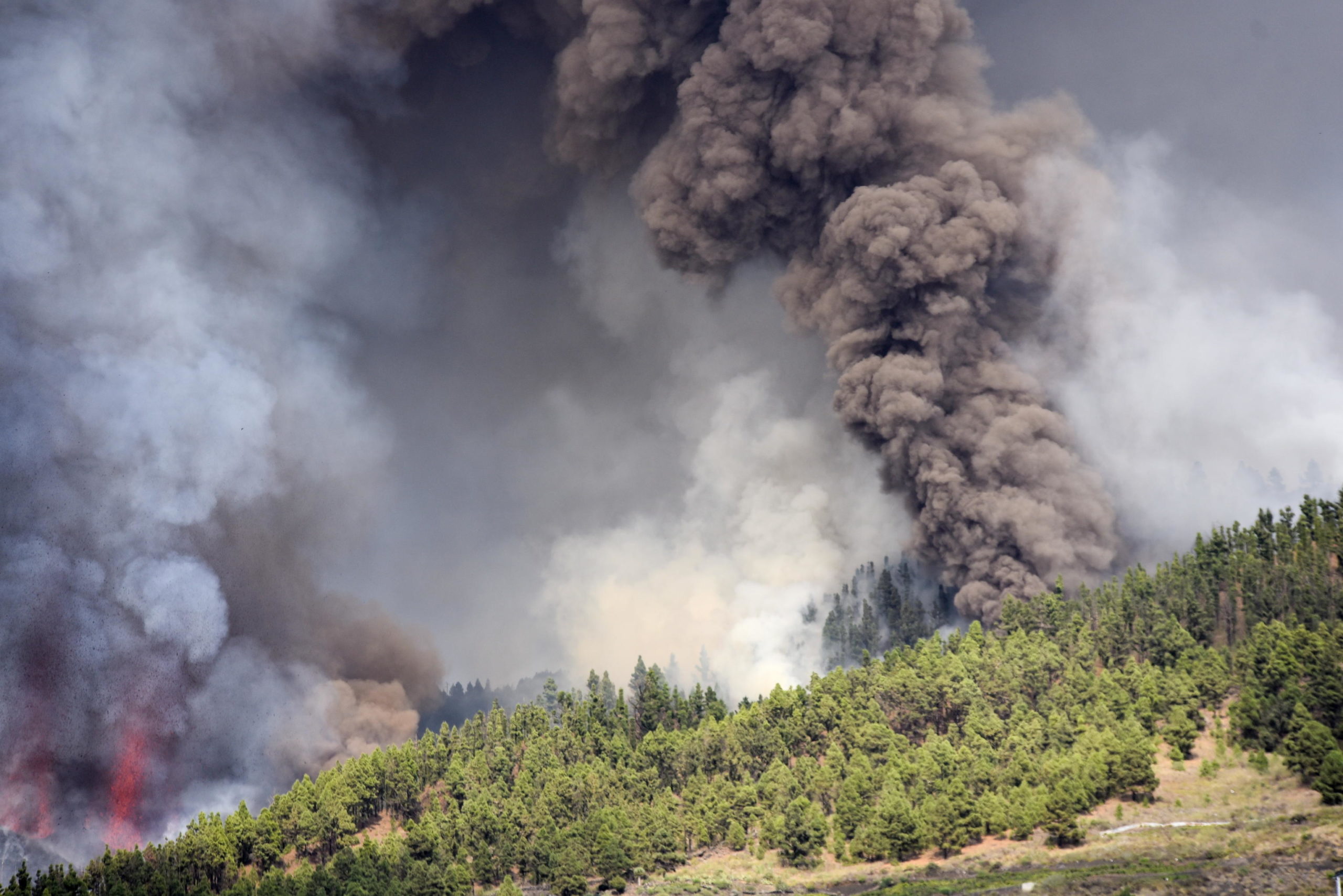 L'eruzione continua dalla serata di ieri con scosse di terremoto e colonne di fumo