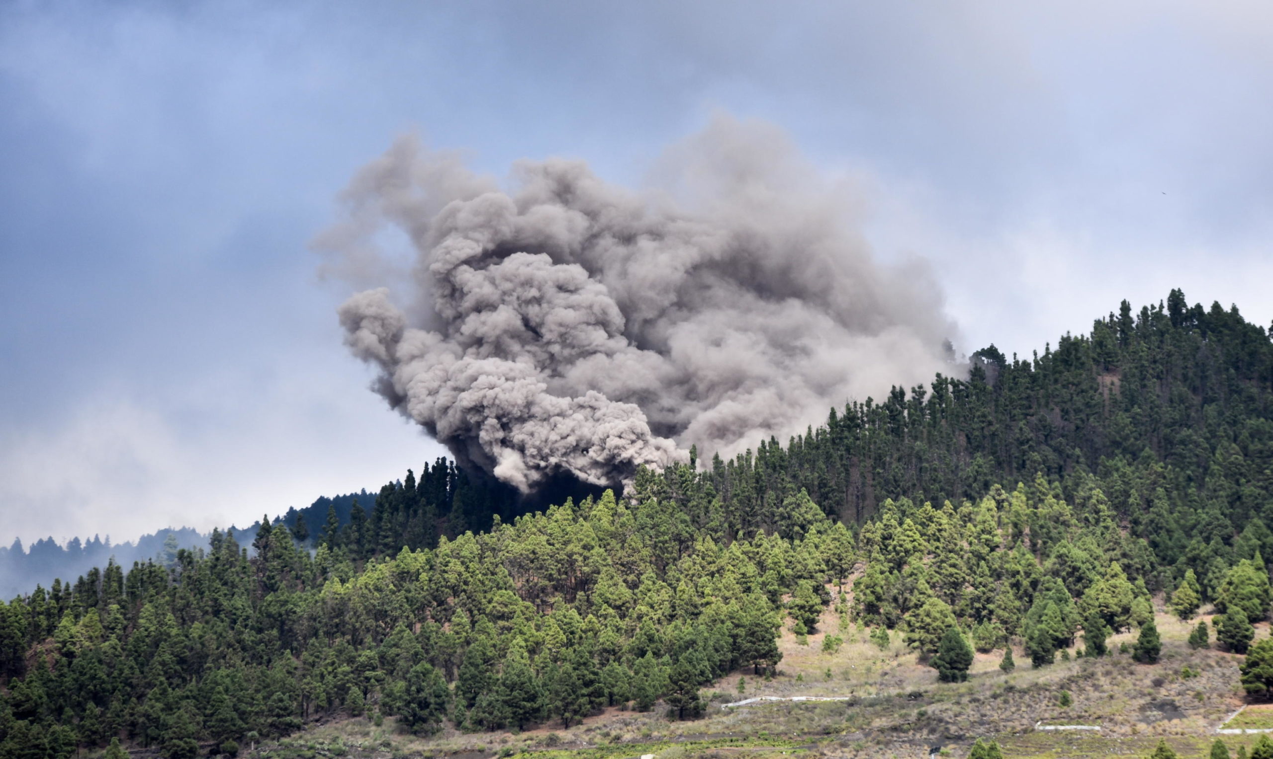 Polveri vulcaniche sui boschi del parco naturale di Cumbre Vieja, a Las Manchas