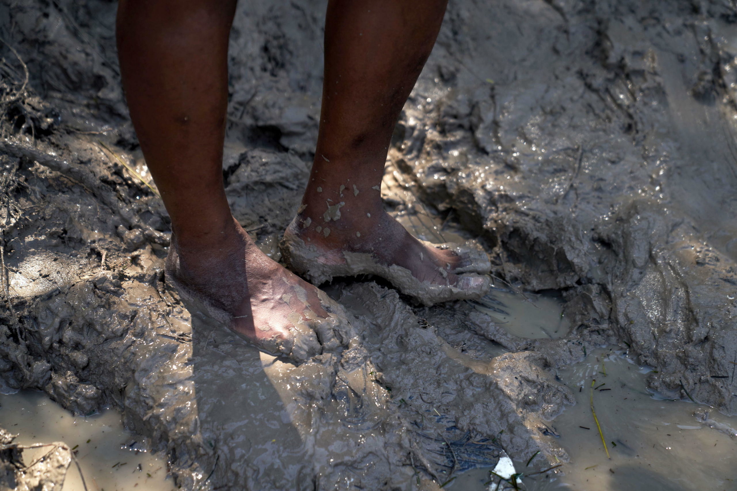 Il terreno paludoso complica il cammino Il terreno paludoso complica il cammino