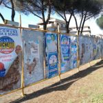 Gli atti di vandalismo sono stati bipartisan