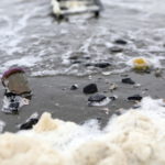 Il mare della spiaggia di Banda Aceh inquinato dai rifiuti