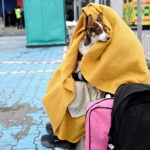 Un rifugiato ucraino con il suo cane fuori dalla stazione ferroviaria di Przemysl, Polonia Un rifugiato ucraino con il suo cane fuori dalla stazione ferroviaria di Przemysl, Polonia