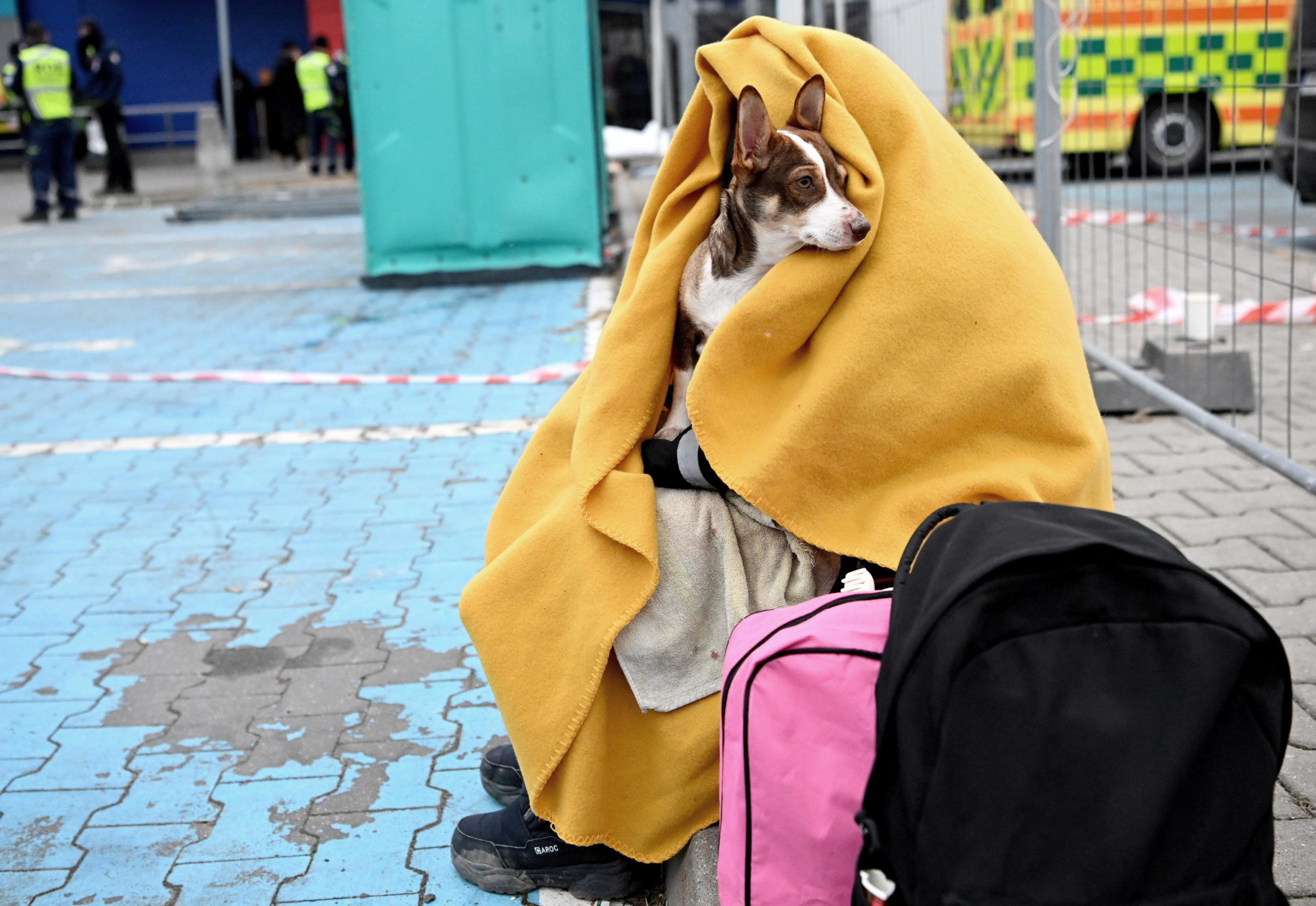 Un rifugiato ucraino con il suo cane fuori dalla stazione ferroviaria di Przemysl, Polonia