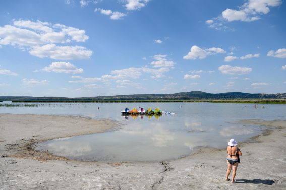 Una donna osserva il lago Velencei a Gardony (Ungheria). Per via di una siccità insolita e duratura, il livello dell'acqua è sceso da 63 a 55 centimetri.