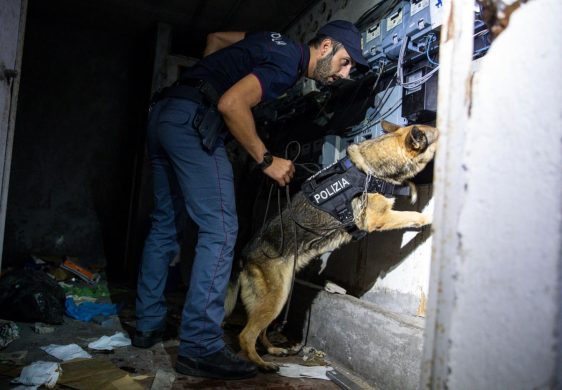 Unità cinofile in azione per individuare anche eventuali sostanze stupefacenti nel quartiere di Tor Bella Monaca, Roma Unità cinofile in azione per individuare anche eventuali sostanze stupefacenti nel quartiere di Tor Bella Monaca, Roma