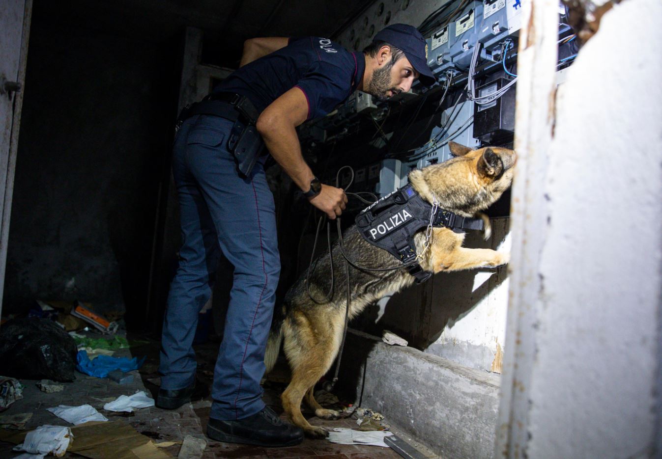 Unità cinofile in azione per individuare anche eventuali sostanze stupefacenti nel quartiere di Tor Bella Monaca, Roma Unità cinofile in azione per individuare anche eventuali sostanze stupefacenti nel quartiere di Tor Bella Monaca, Roma