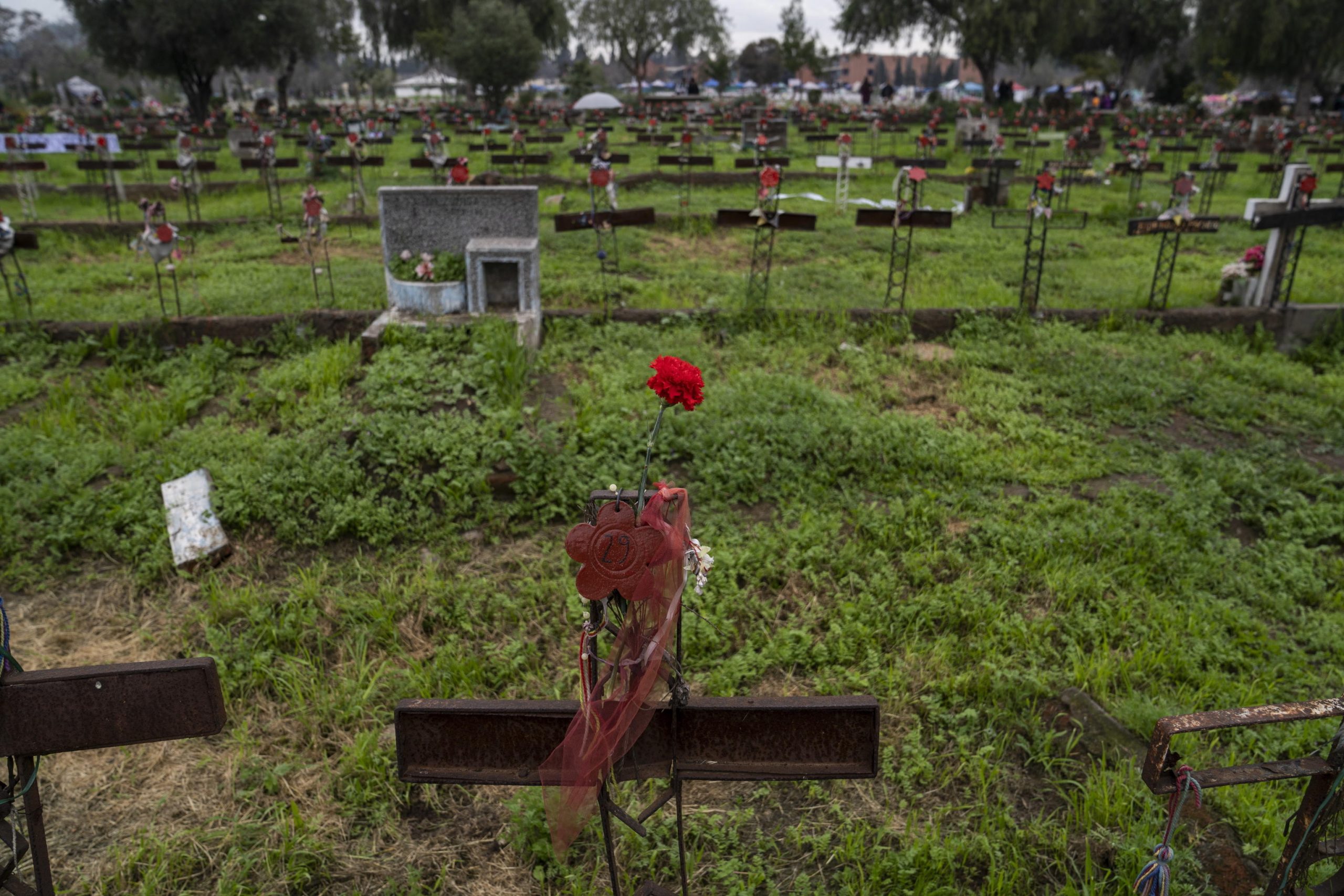 Patio 29 del Cimitero Generale in cui il regime militare seppelliva le sue vittime