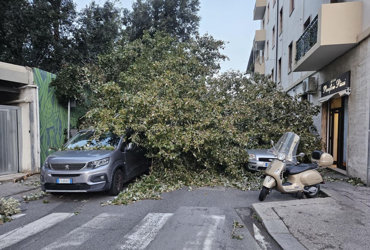 I danni causati dal maltempo a Livorno