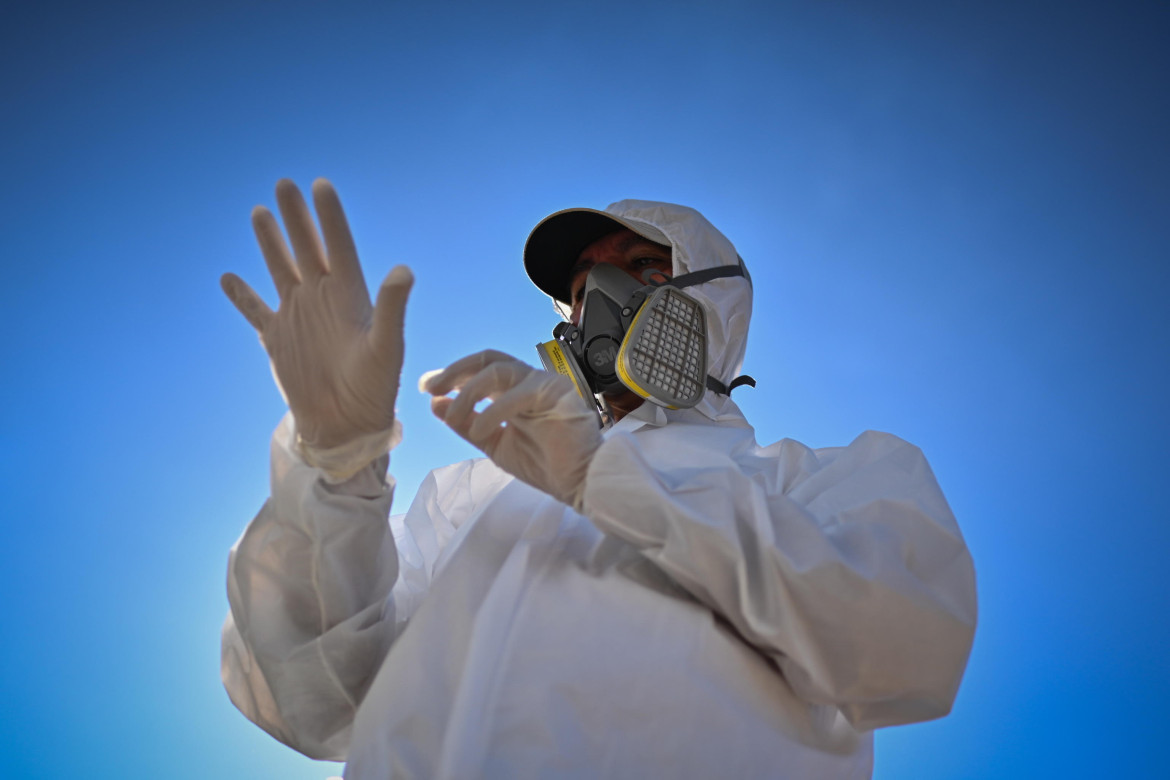 ++ Ministero a Regioni,contro Dengue sorveglianza e bonifiche ++