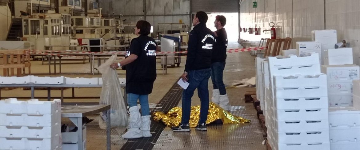 Duplice omicidio all’interno del mercato ittico a Salerno | Foto Ansa Duplice omicidio all'interno del mercato ittico a Salerno | Foto Ansa