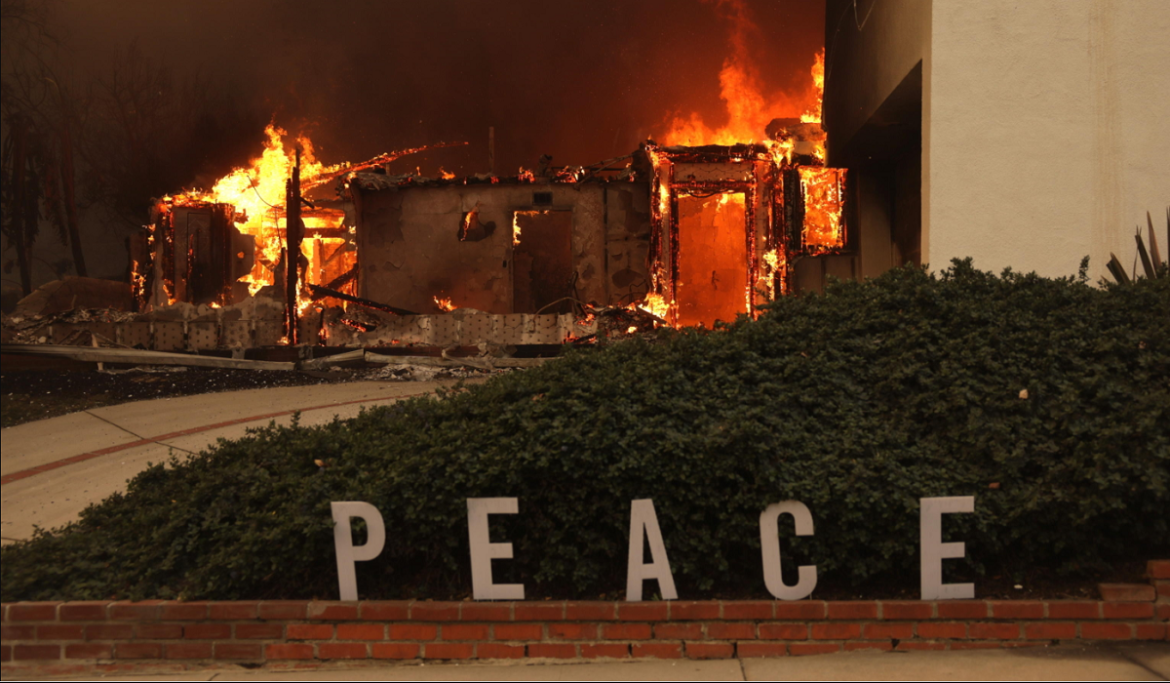 incendio peace Los angeles incendi