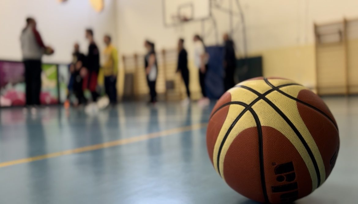 Acilia Red Foxes basket down